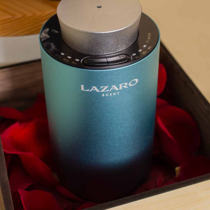 Lazaro Z1 Car Scent Diffuser Cyan and 9 roses and Golden Flower