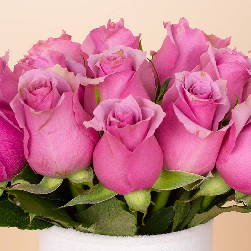 Purple Signature Vase - 20 Stems
