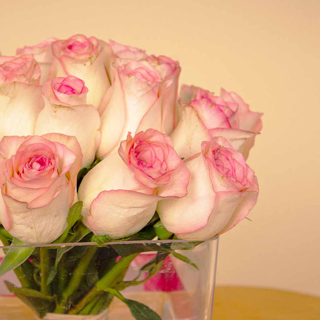 Pink Flowers Vase Cube – 20 Flowers