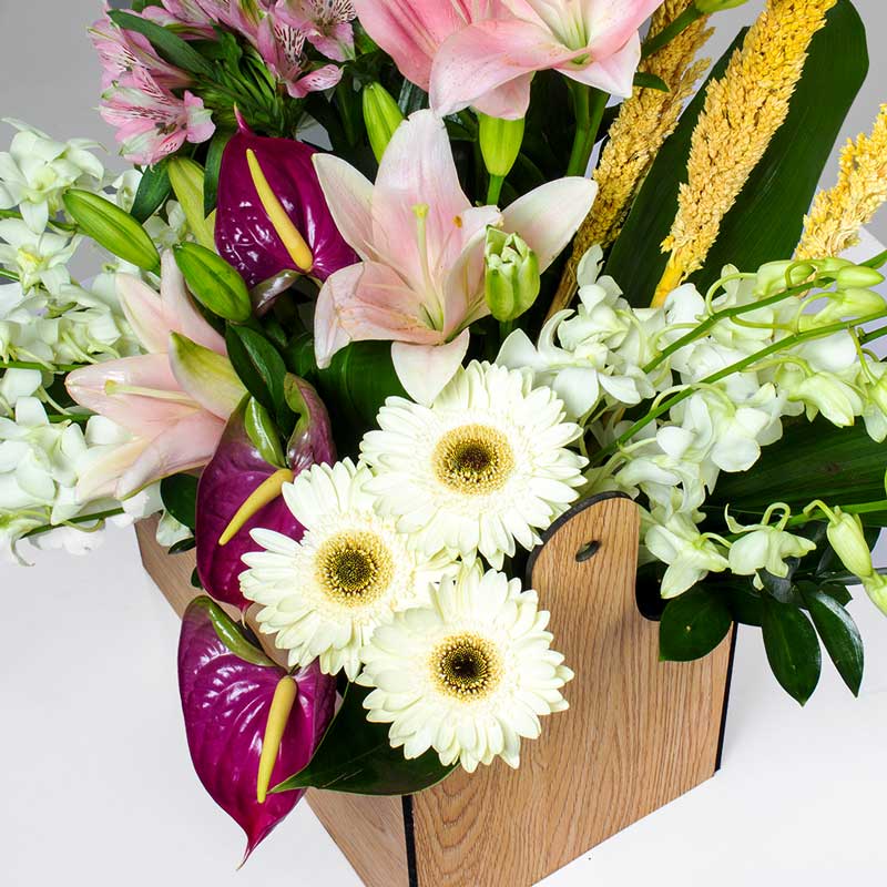 Mixed Roses Box