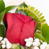 Soft Touch of Love