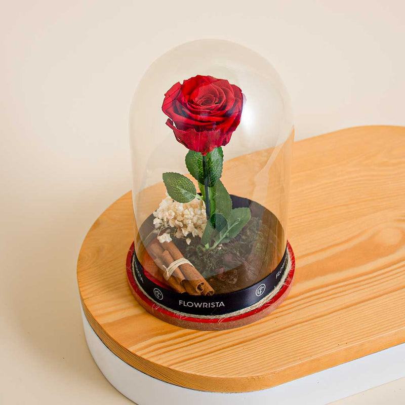 Red Eternity Rose