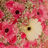 Pink Bliss Bouquet