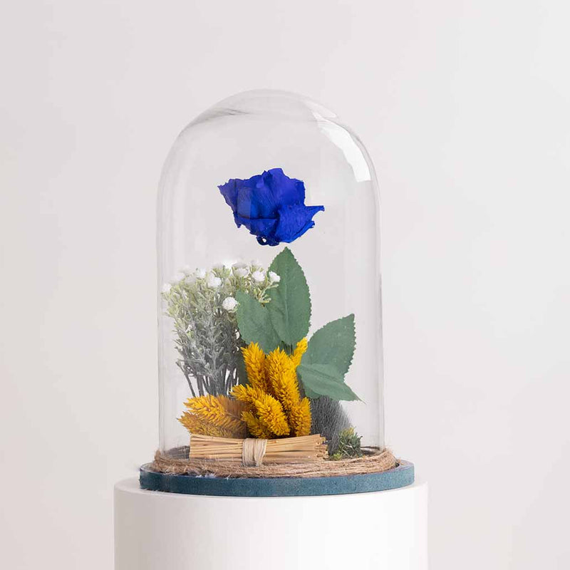 Blue Eternity Rose