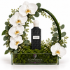 A luxury gift arrangement featuring a bottle of Black Carbon Cologne by Flowrista, nestled in a clear glass planter filled with green moss, surrounded by white orchids, eucalyptus leaves, and a green arch on a white background.