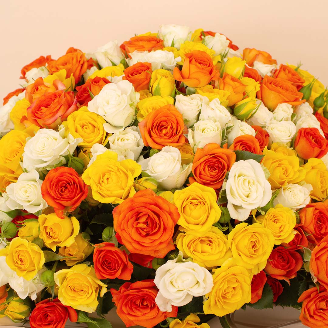 Flowrista Bouquet of 150 White, Orange & Yellow Roses