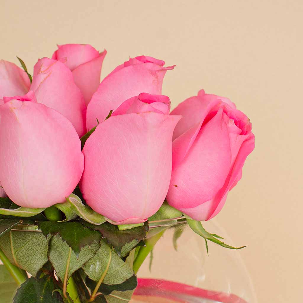 Cube Vase with 20 Pink Roses