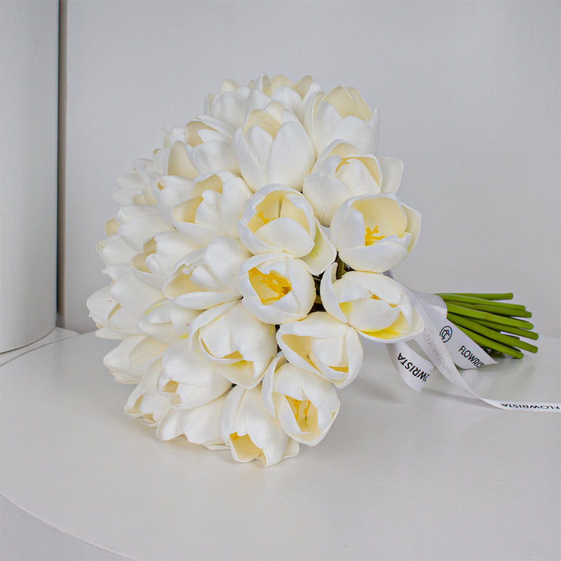 Jumbo Tulip jerb