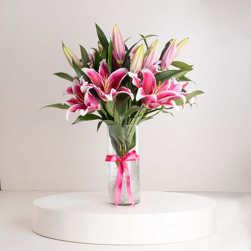 Rosé Stargaze Vase