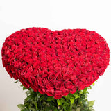 Eternal Love Red Roses | 300 Roses