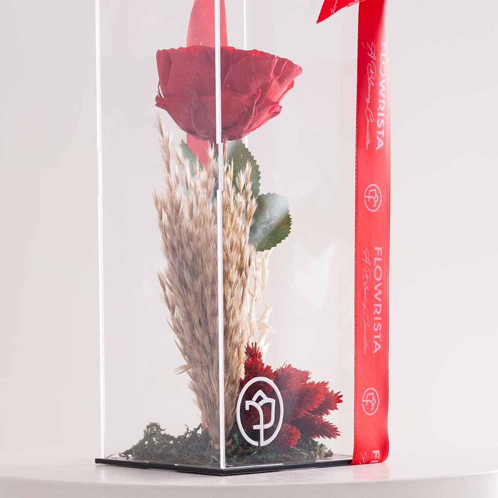 Signature Eternity Rose