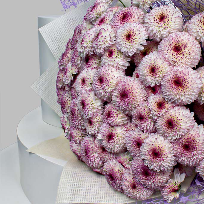 Lollipop Chrysanthemum Hand Bouquet - Natural Beauty Gift