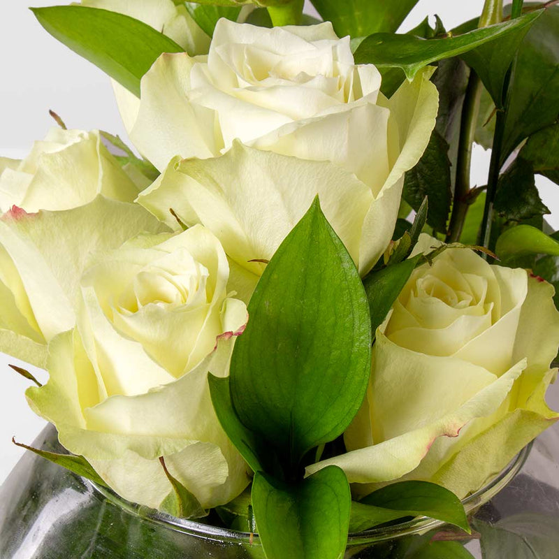 White Roses Vase