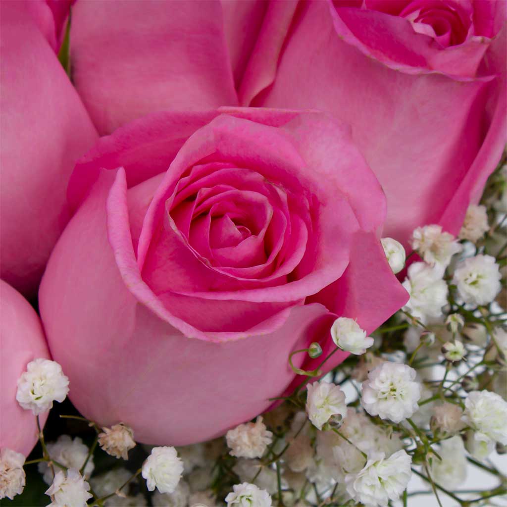Pink Rose Vase With Gypsophila