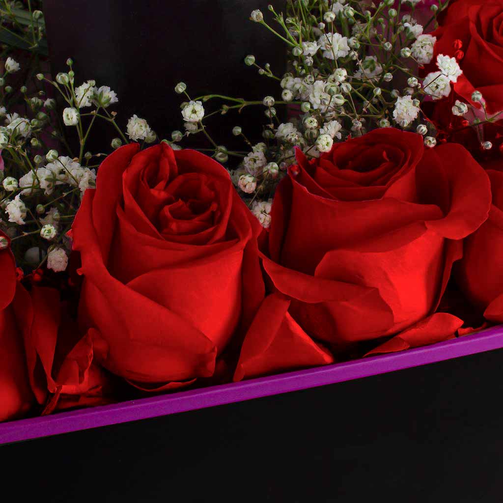 Lazaro Z1 Car Scent Diffuser and 10 red roses box