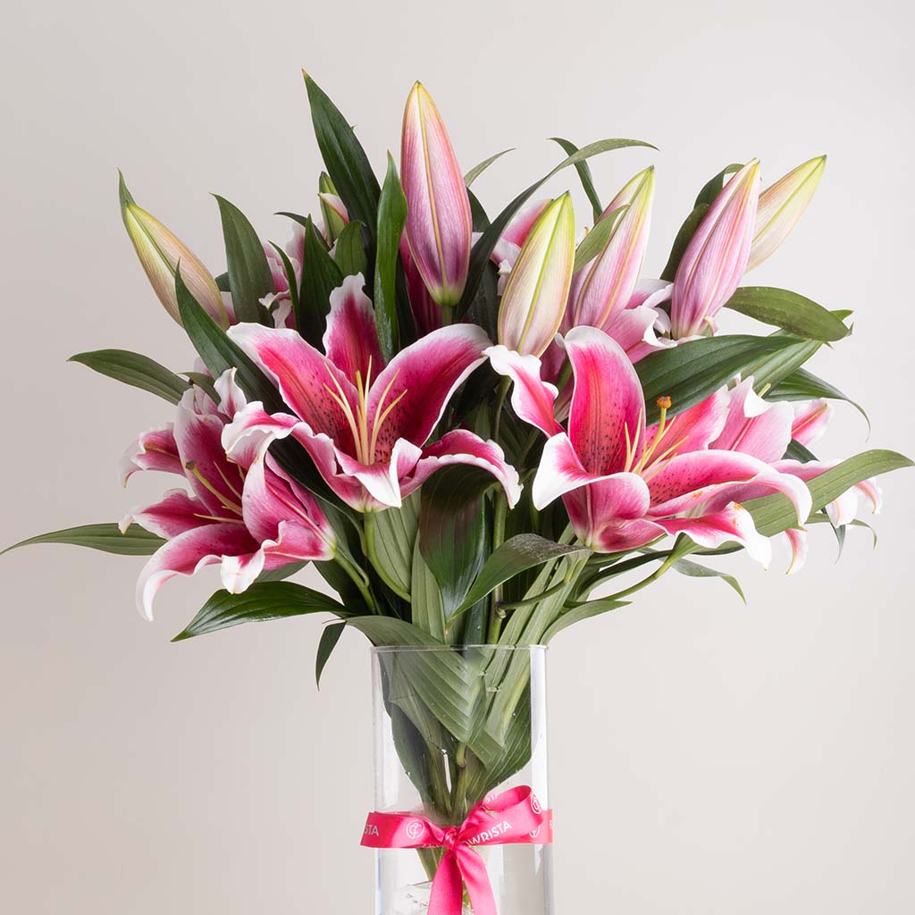 Rosé Stargaze Vase