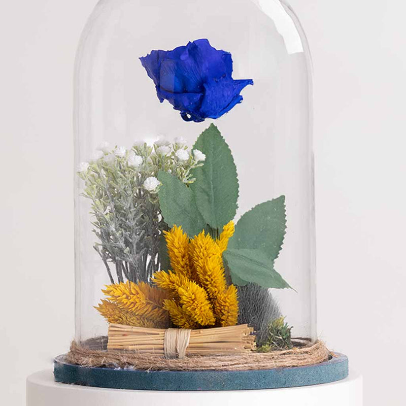Blue Eternity Rose