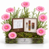 A floral gift set from Flowwista featuring pink gerbera daisies arranged around an open brown presentation box containing two small cosmetic bottles, set in a clear rectangular planter filled with green moss and foliage on a white background.