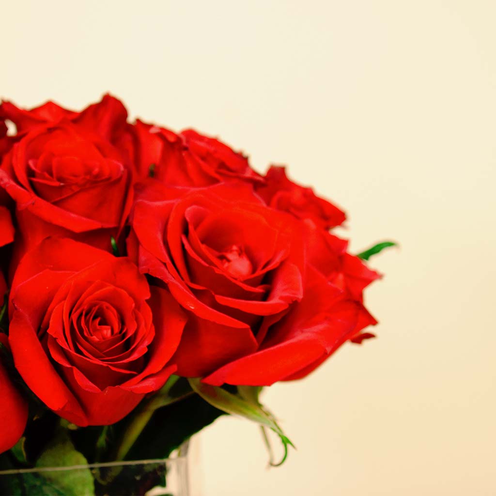 Amaz Gorgeous necklace 24k gold plated | A vase of red roses