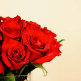 Amaz Gorgeous necklace 24k gold plated | A vase of red roses