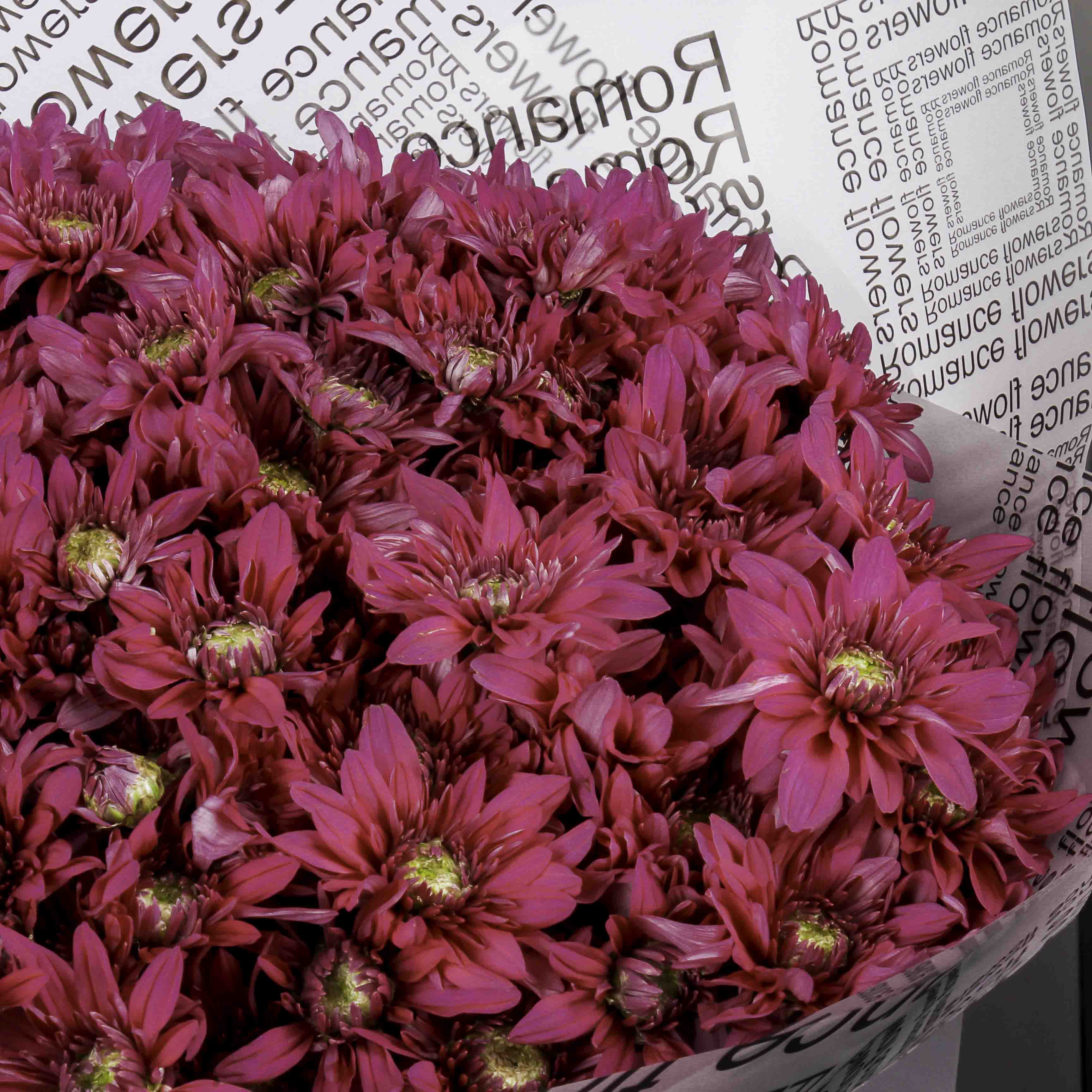 Purple Chrysanthemum Hand Bouquet