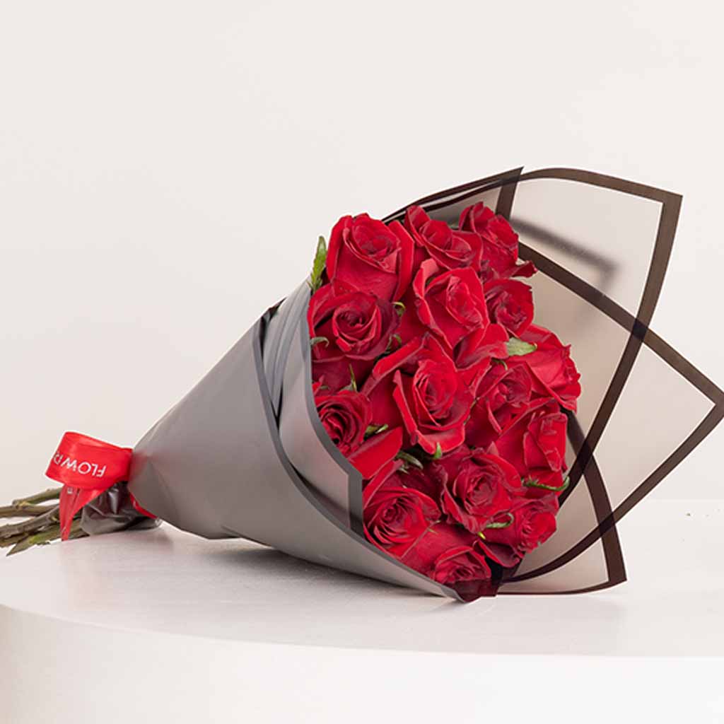 Felizmoda V-Shape Square Zircon Necklace & Red Roses Bouquet