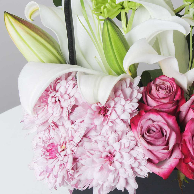 Sweet Sentiments Roses II