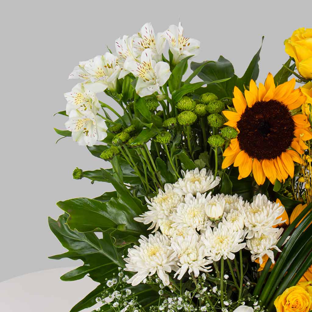 Yellow and White