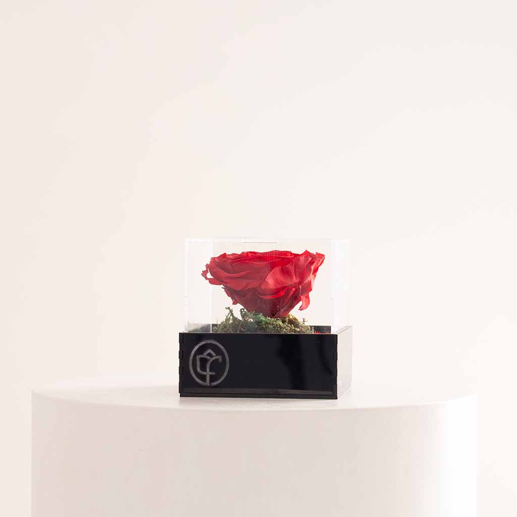 Eternity Rose Box