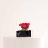 Eternity Rose Box