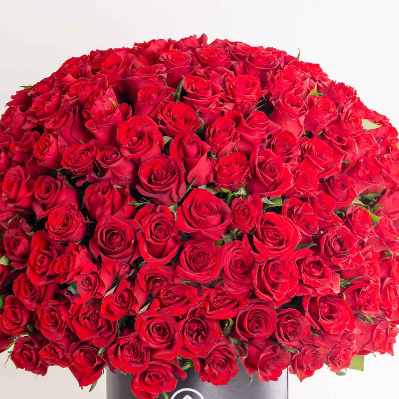 Box 250 Roses