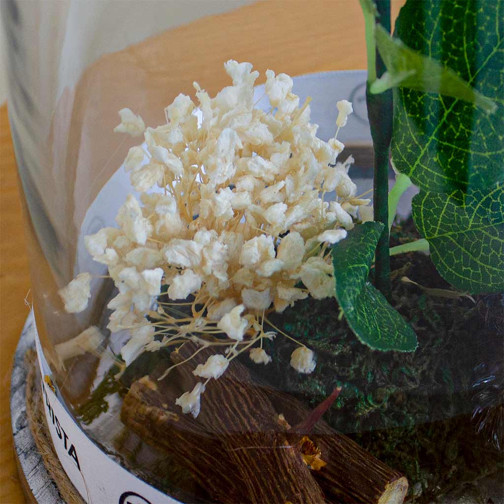 White Eternity Rose