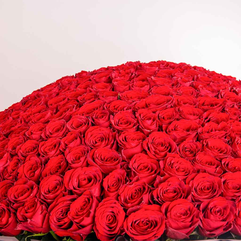500 Red Flowers Bouquet