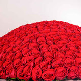500 Red Flowers Bouquet