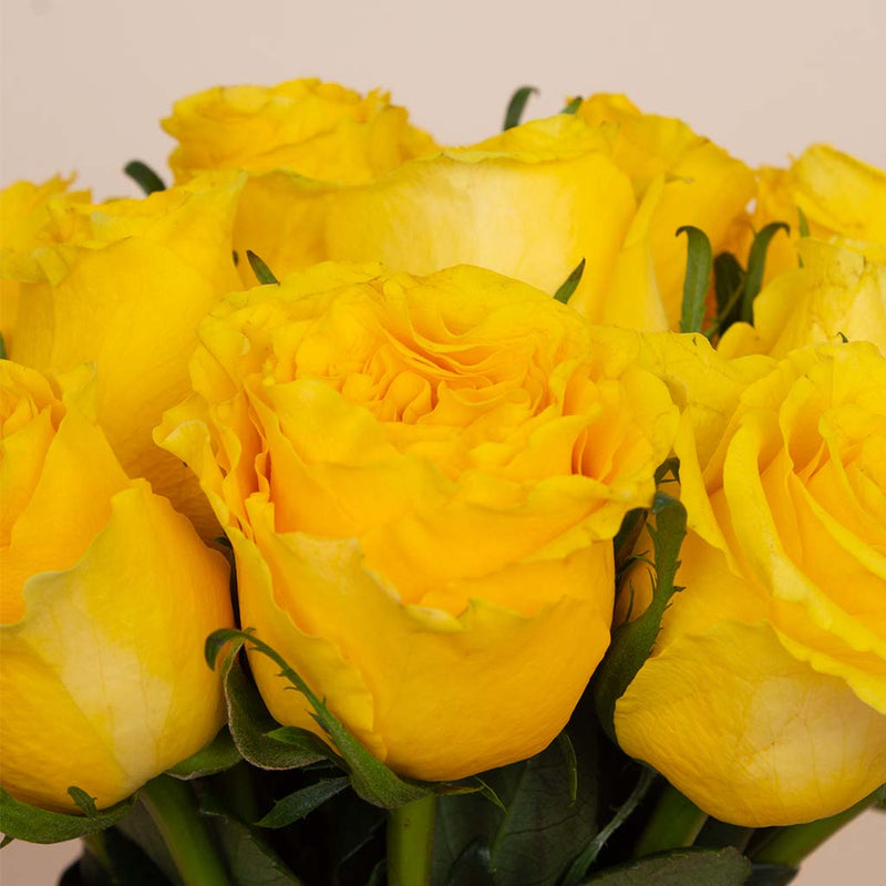 Glow Vase - 20 Yellow Roses