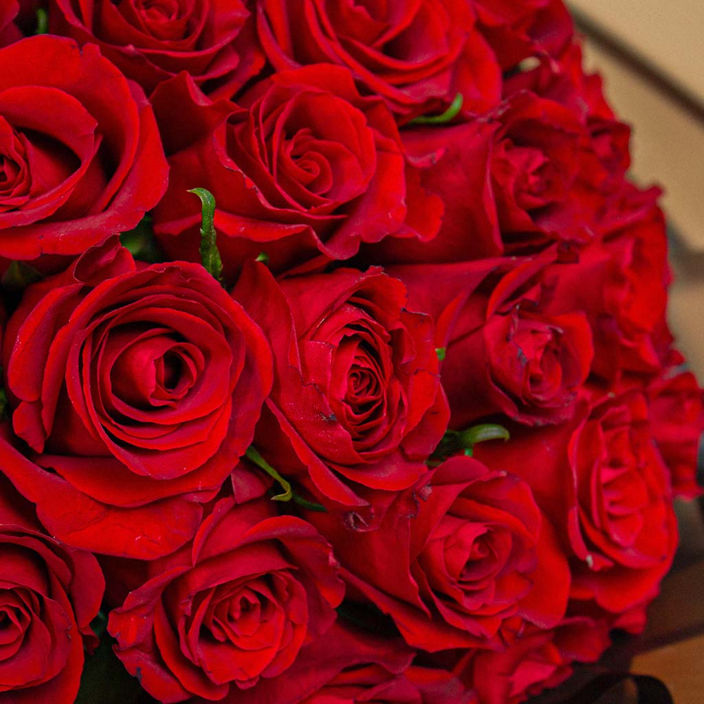 Red Roses Bouquet | 25 Roses