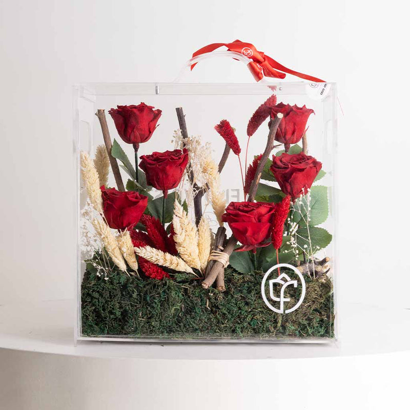 Red Eternity Roses Box - 6 Roses