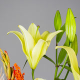 Sultan Vase with Roses, Gerbera & Lilies