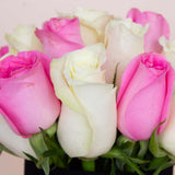 Harmony Vase - 20 Pink & White Roses