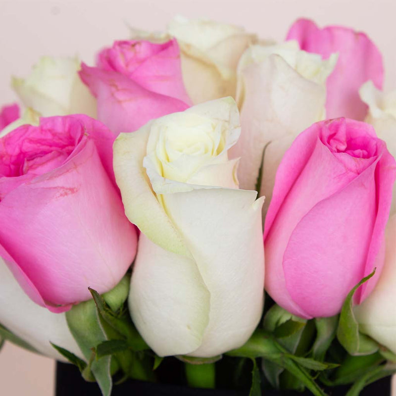 Harmony Vase - 20 Pink & White Roses