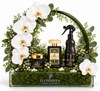 Ashek Al Oud Perfume, Bakhour & Air Freshener Gift Set with White Orchid Wreath