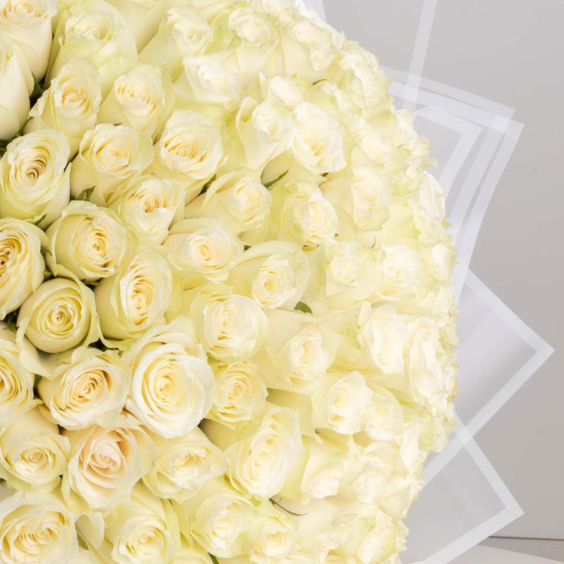 100 White Roses bouquet
