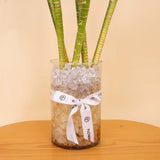 Harmony Lotus Bamboo Vase