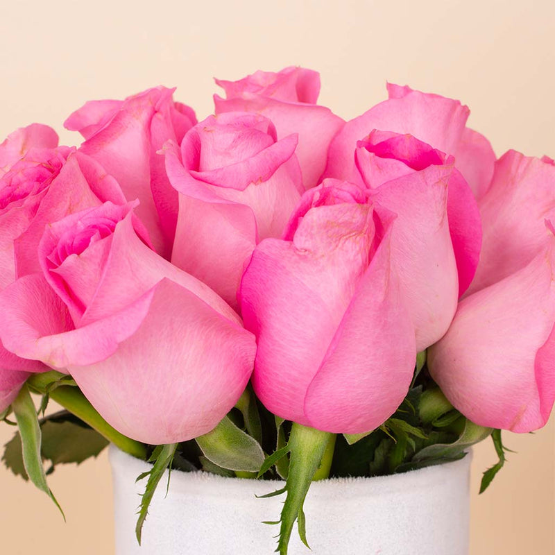 Fuchsia Signature Vase - 20 Stems