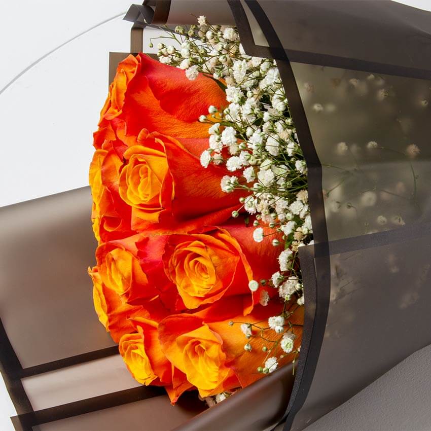 Charming Orange Flowers
