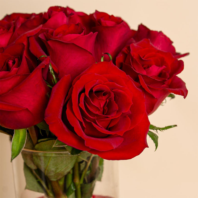 Valentine’s Gift Set – Guess Watch with Red Roses Bouquet