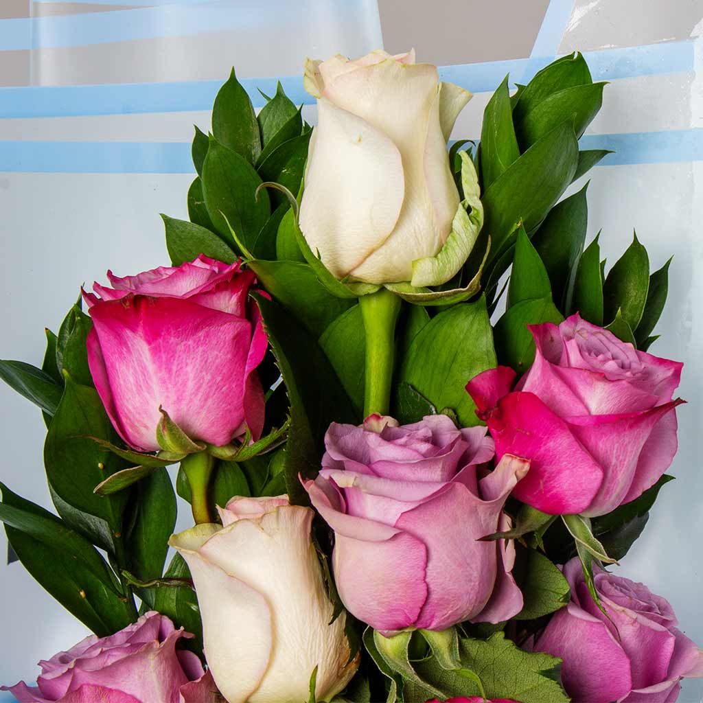 Sky Roses