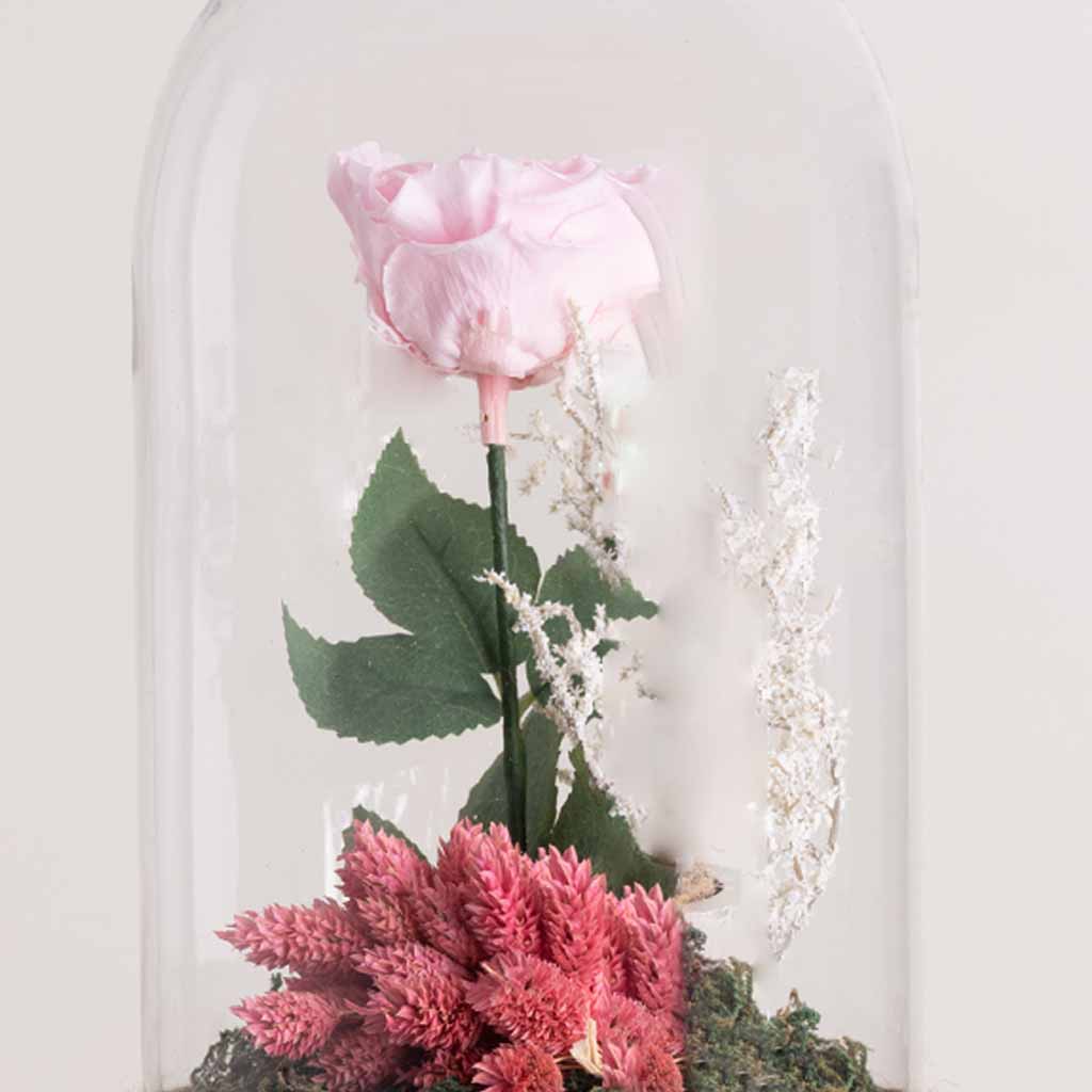 Pink Eternity Rose