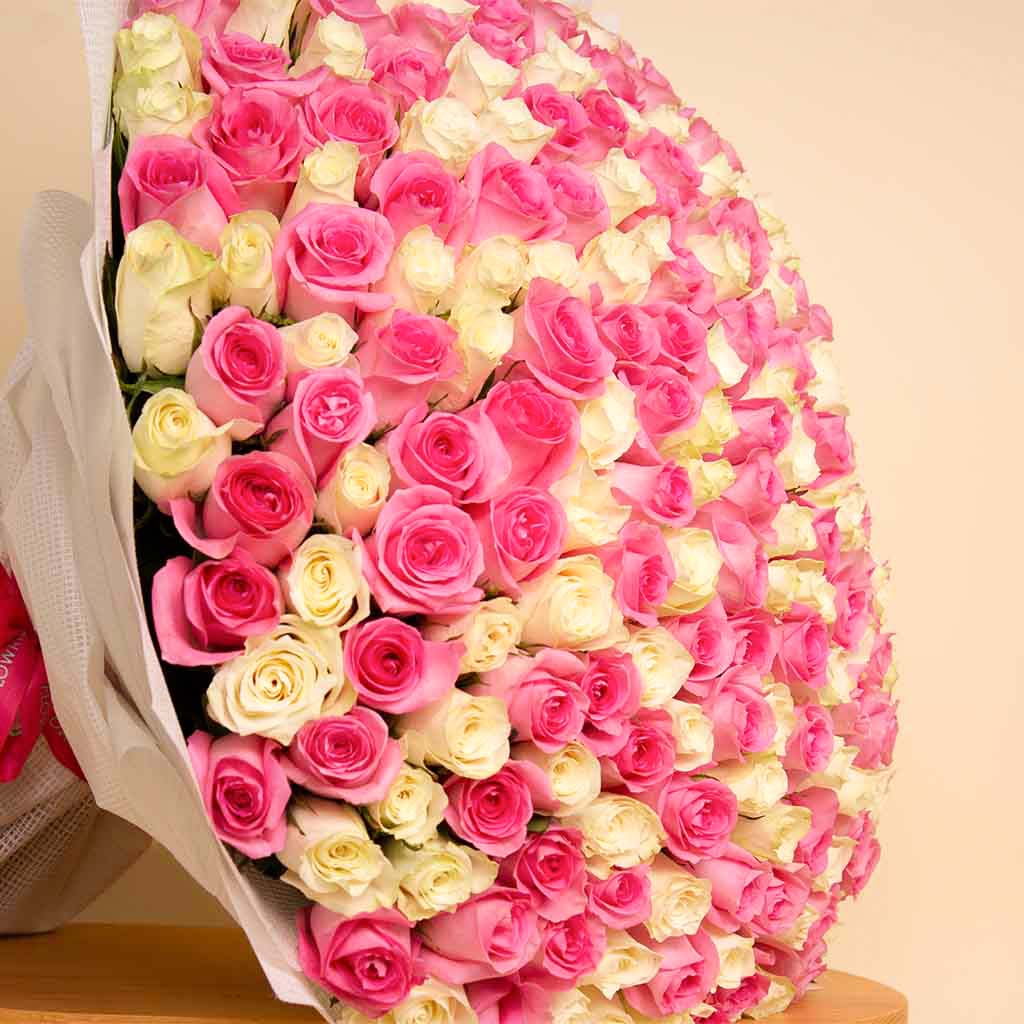 250 Pink And White Roses bouquet