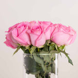 Romance Pink Bundle